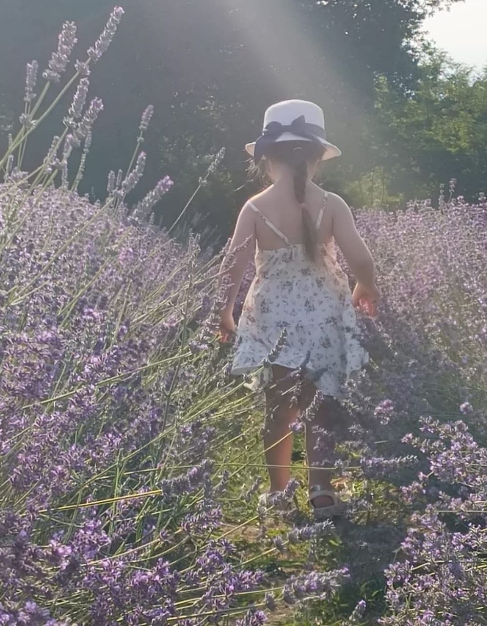 Passeggiata-sensoriale-lavanda-Giove-Terni